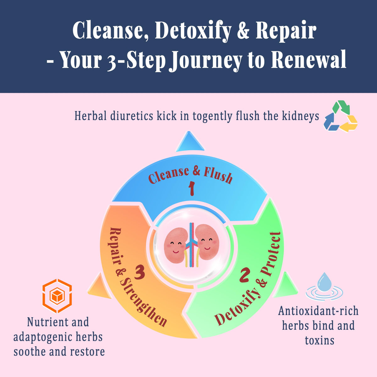 Joywiit Kidney Cleanse Drops β 14-in-1 Liver & Kidney Support, Mixed Berry 60 mL