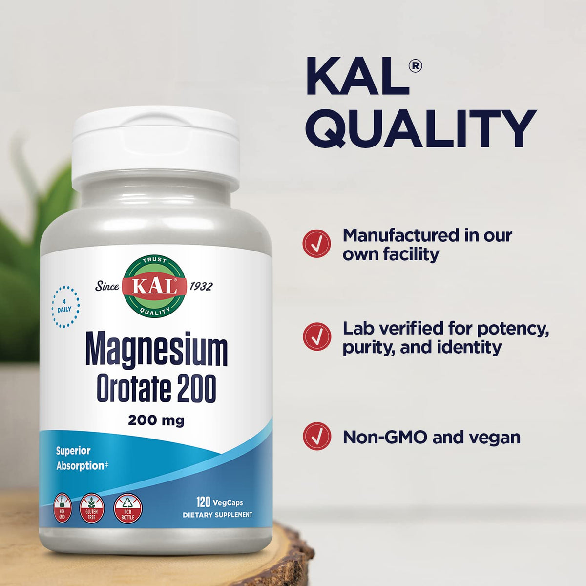 KAL Magnesium Orotate 200 mg β Superior Absorption Chelated Magnesium | Bones, Nerves & Muscles | 120 VegCaps