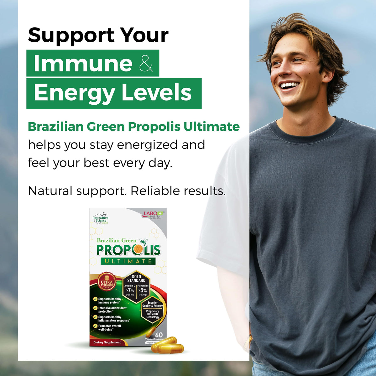 LABO Nutrition Brazilian Green Propolis Ultimate β 28 mg Artepillin C, 20 mg Flavonoids, 60 Veg Caps (three-pack)