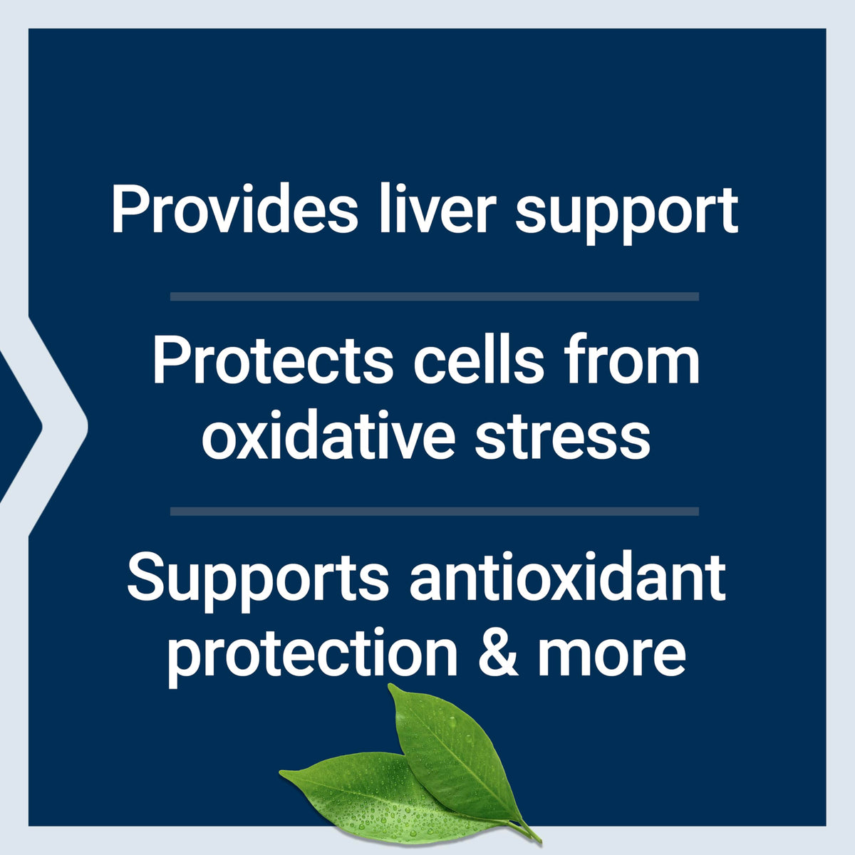 Life Extension Glutathione, Cysteine & C، 500 ملغ فيتامين C - صحة الكبد