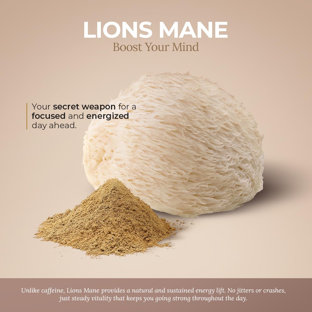 Healing Mushrooms Lion's Mane Pure Powder β Brain Superfood for Clarity, Memory & Focus (100 g)