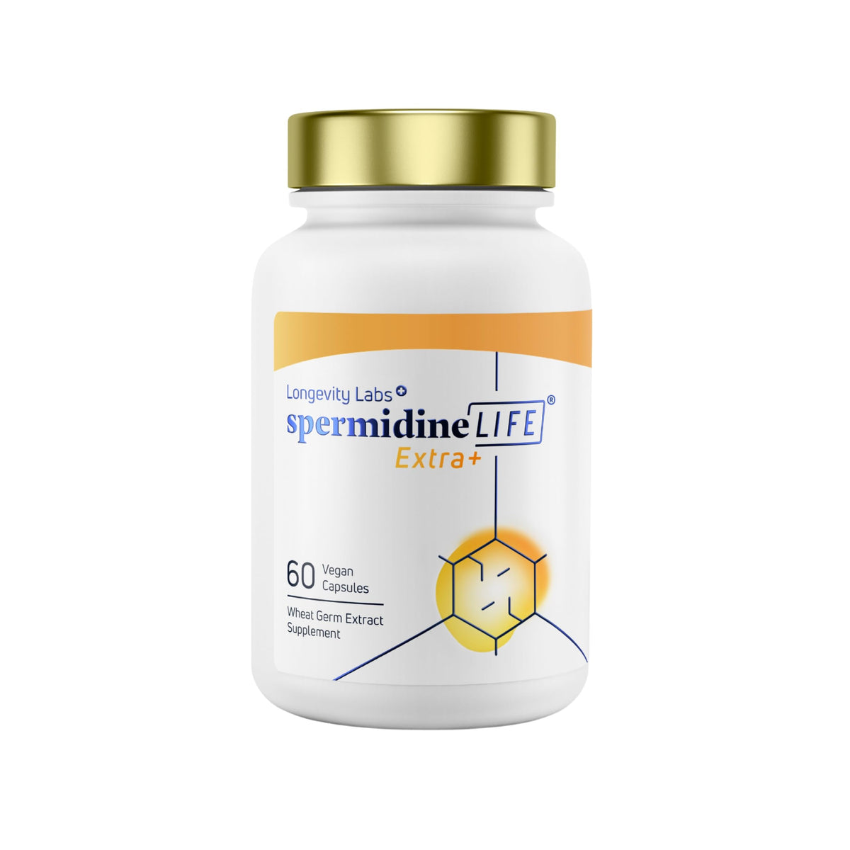 Longevity Labs+ spermidineLIFE Extra+ Natural Supplement β Vegan, Zinc, 60 Capsules