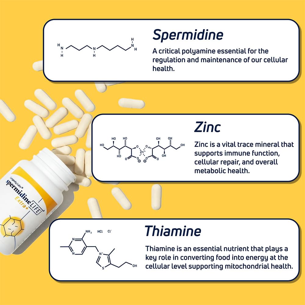 Longevity Labs+ spermidineLIFE Extra+ Natural Supplement β Vegan, Zinc, 60 Capsules