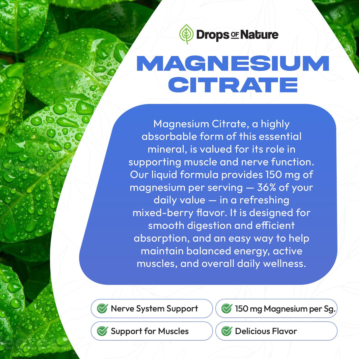 Magnesium Citrate Liquid – 150 ملغ مغنيسيوم عالي الامتصاص، نباتي (توت مشكل، 60 مل)