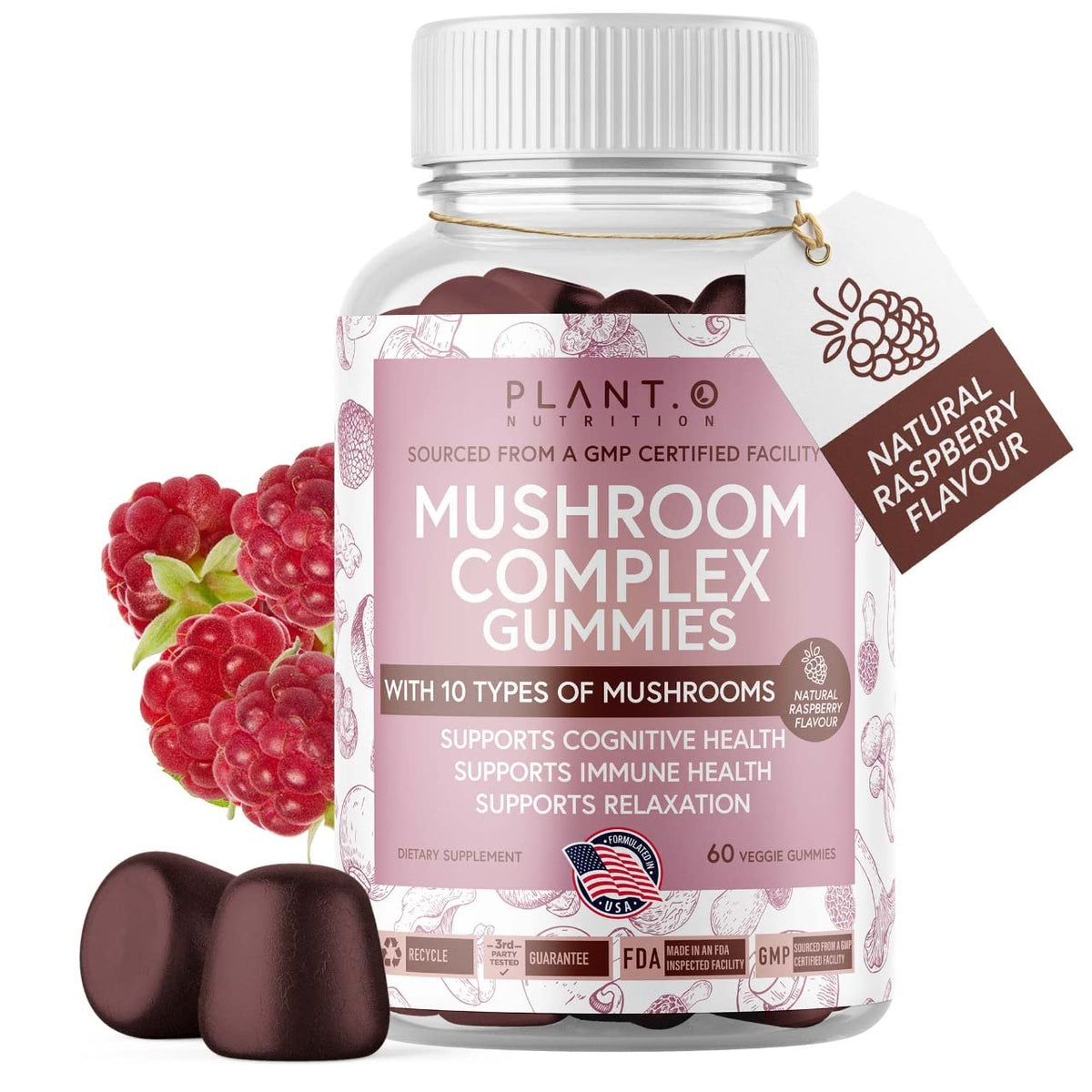 Mushroom Gummies Premium β 10-Mushroom Complex (Lion's Mane & Reishi) | 60 Chews