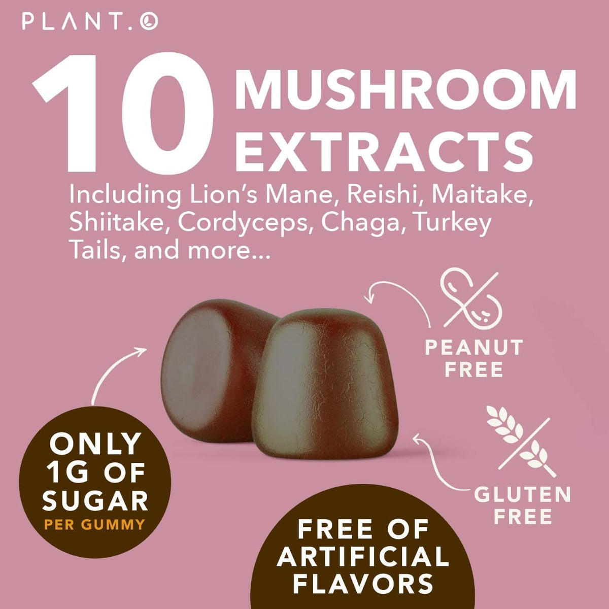 Mushroom Gummies Premium β 10-Mushroom Complex (Lion's Mane & Reishi) | 60 Chews
