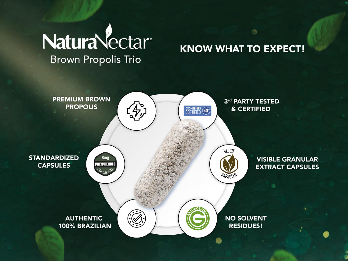 NaturaNectar العكبر البني - معتمد من NSF، خالٍ من الجلوتين، عكبر برازيلي ممتاز (60 قطعة)