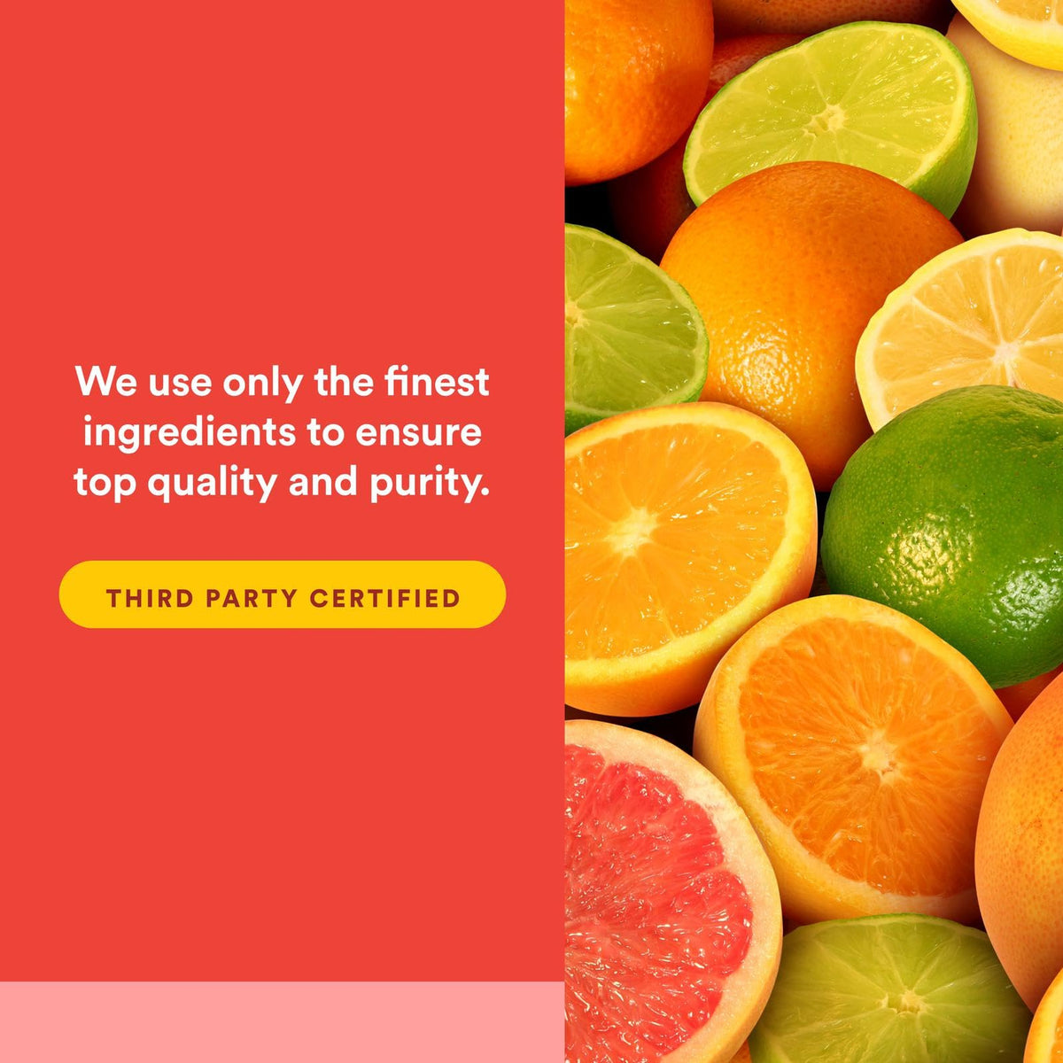 Natural Factors C Extra + Quercetin – 60 كبسولة سهلة البلع | فيتامين سي 500 ملجم وكيرسيتين 250 ملجم | غير معدّل وراثيًا، نباتي