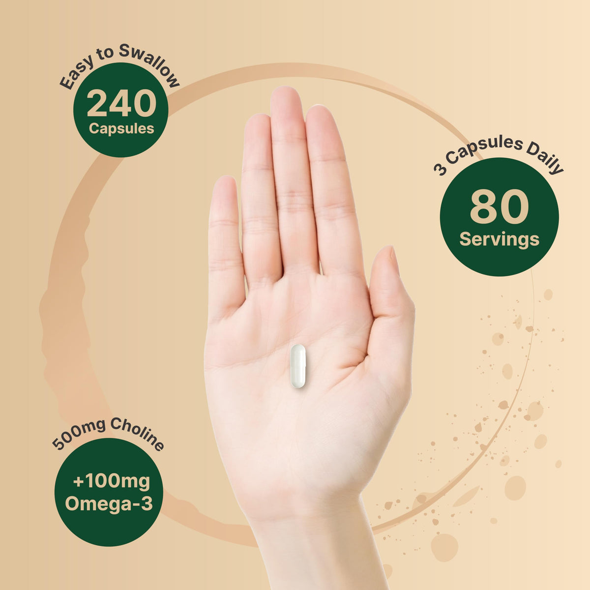 NatureBell كولين 500 ملغ + أوميغا 3 - 240 كبسولة | دعم ما قبل الولادة وصحة الدماغ