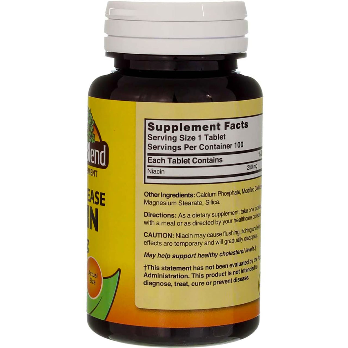 Nature's Blend نياسين ممتد المفعول 250 مجم – 100 قرص | خالٍ من الجلوتين