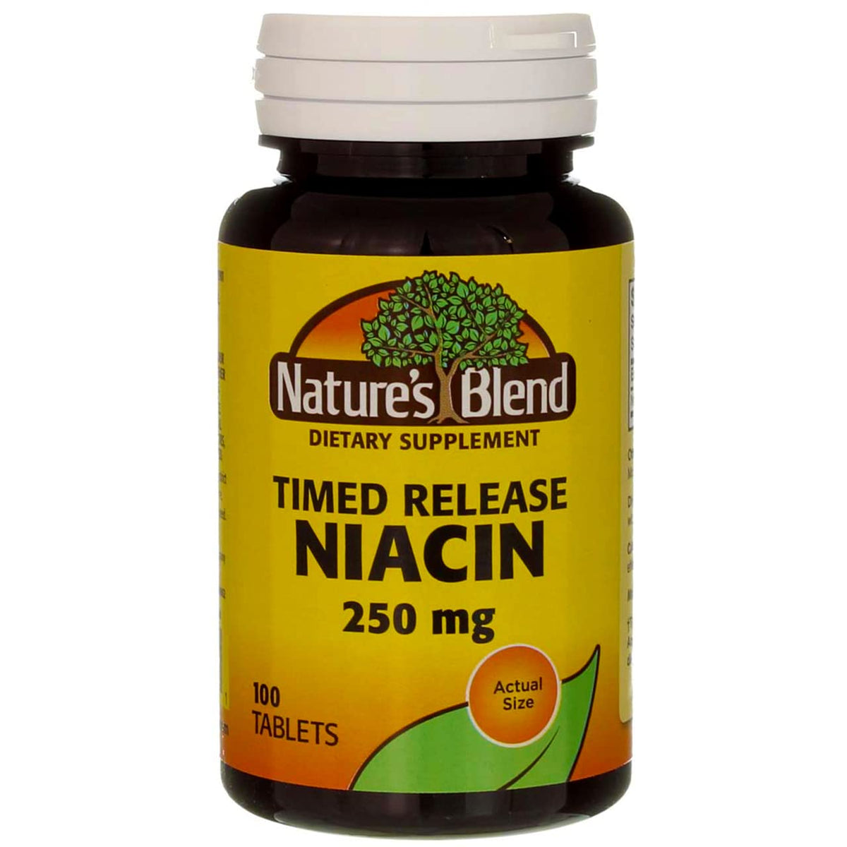 Nature's Blend نياسين ممتد المفعول 250 مجم – 100 قرص | خالٍ من الجلوتين