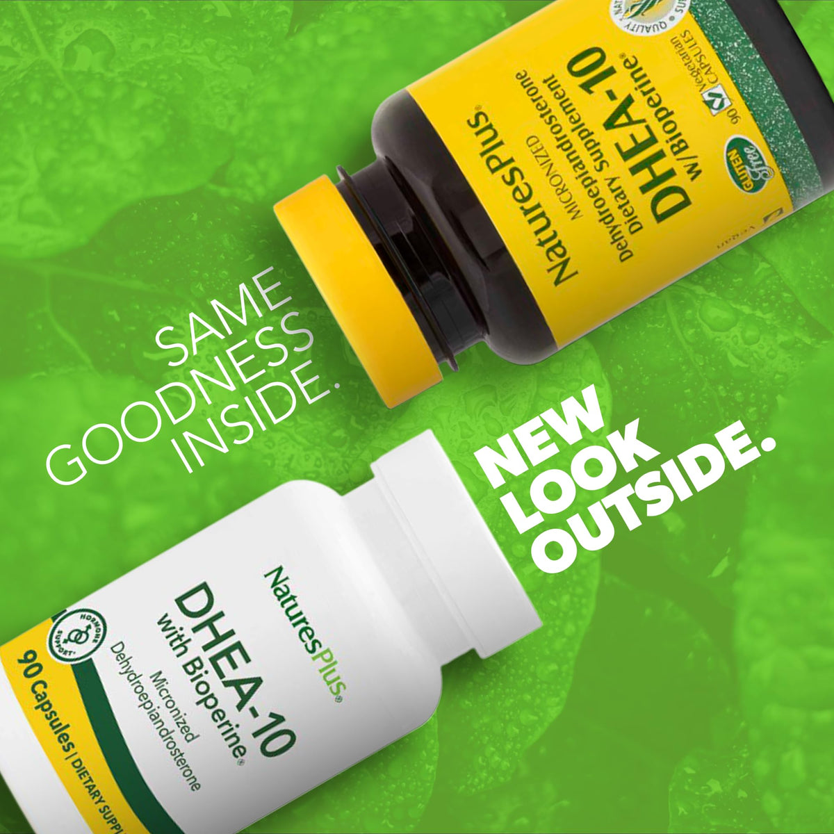 Natures Plus DHEA-10 مع بيوبيرين - 10 ملغ، 90 كبسولة نباتية (خالٍ من الغلوتين)