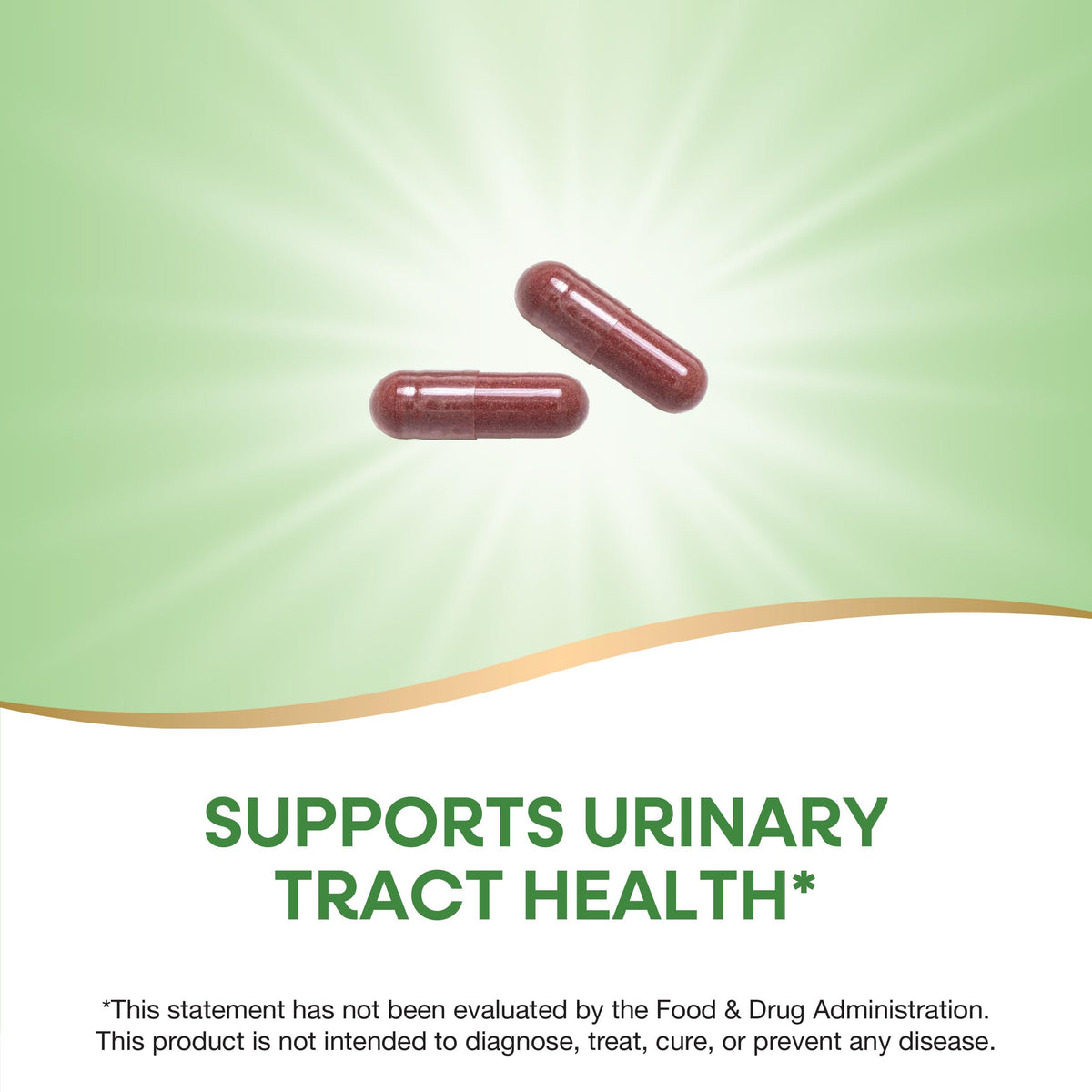 Nature's Way Cranberry Fruit مكملات التوت البري - تدعم صحة المسالك البولية - 930 ملغ لكل حصة (كبسولتين)