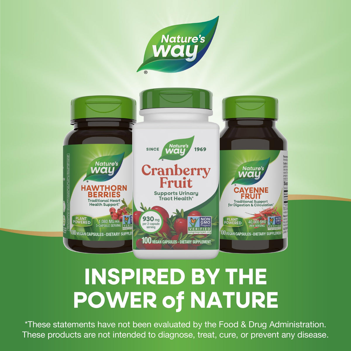 Nature's Way Cranberry Fruit مكملات التوت البري - تدعم صحة المسالك البولية - 930 ملغ لكل حصة (كبسولتين)