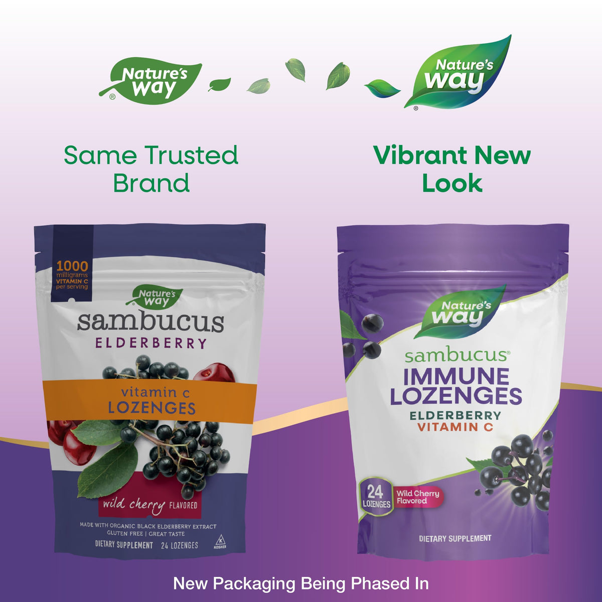 Nature’s Way Sambucus Immune Lozenges – أقراص استحلاب قوة مناعية من سامبوكس بلس فيتامين ج وعنب الثور