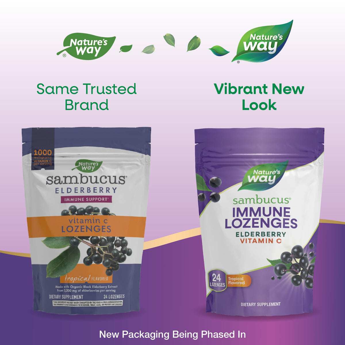 Nature's Way Sambucus Immune Lozenges - فيتامين سي عالي الفعالية والبلسان، 24 قرص استحلاب بنكهة استوائية (قد تختلف العبوة)