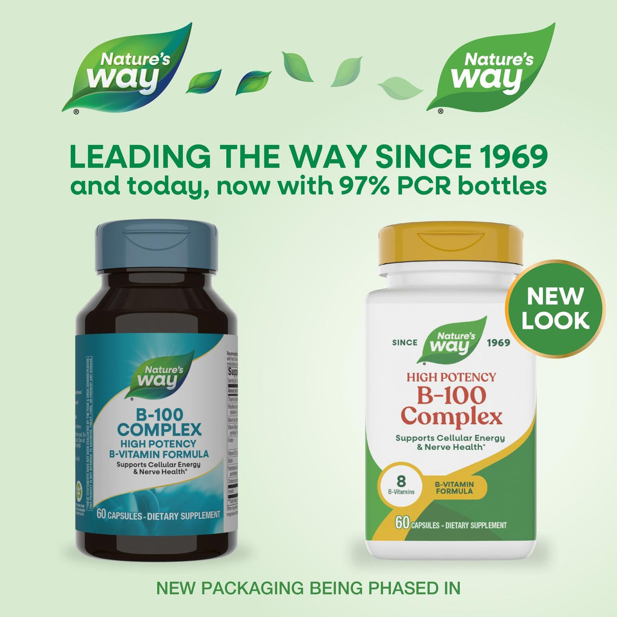 Nature's Way B-100 Complex — يدعم طاقة الخلايا وصحة الأعصاب، 8 فيتامينات ب، 60 كبسولة