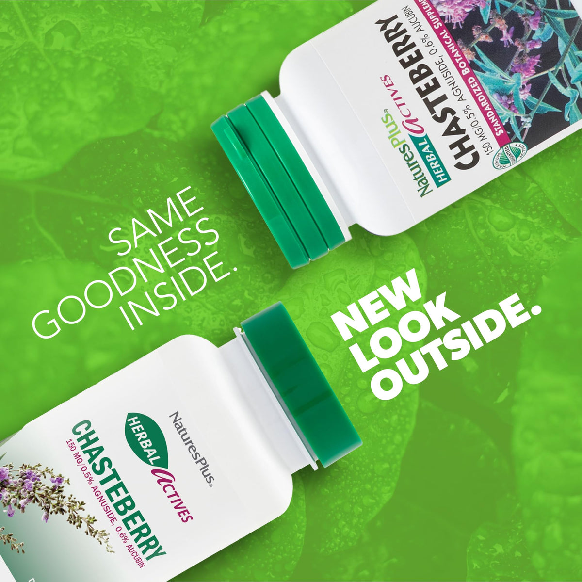 NaturesPlus Herbal Actives Chasteberry - 60 كبسولة، صحة الدورة الشهرية