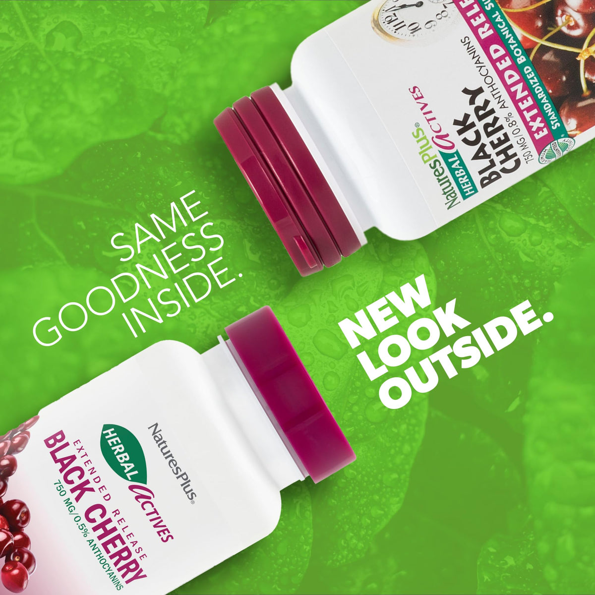 NaturesPlus Herbal Actives Black Cherry - 30 قرصًا | دعم مضاد للأكسدة وممتد المفعول