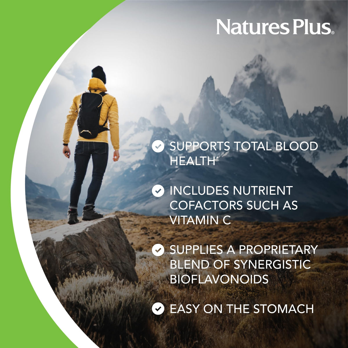 NaturesPlus Hema-Plex Iron - 85 ملجم حديد، 60 كبسولة هلامية | نباتي وخالٍ من الغلوتين