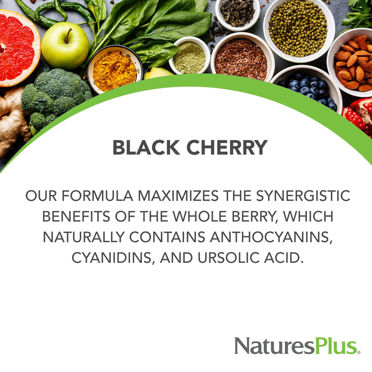 NaturesPlus Herbal Actives Black Cherry - 30 قرصًا | دعم مضاد للأكسدة وممتد المفعول