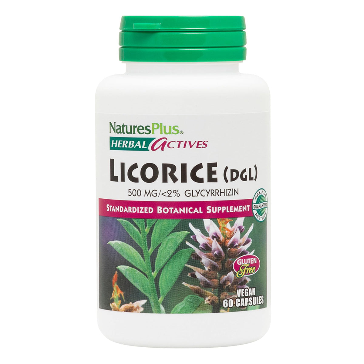 كبسولات عرق السوس DGL من NaturesPlus Herbal Actives بتركيز 500 ملجم | 60 جرعة نباتية