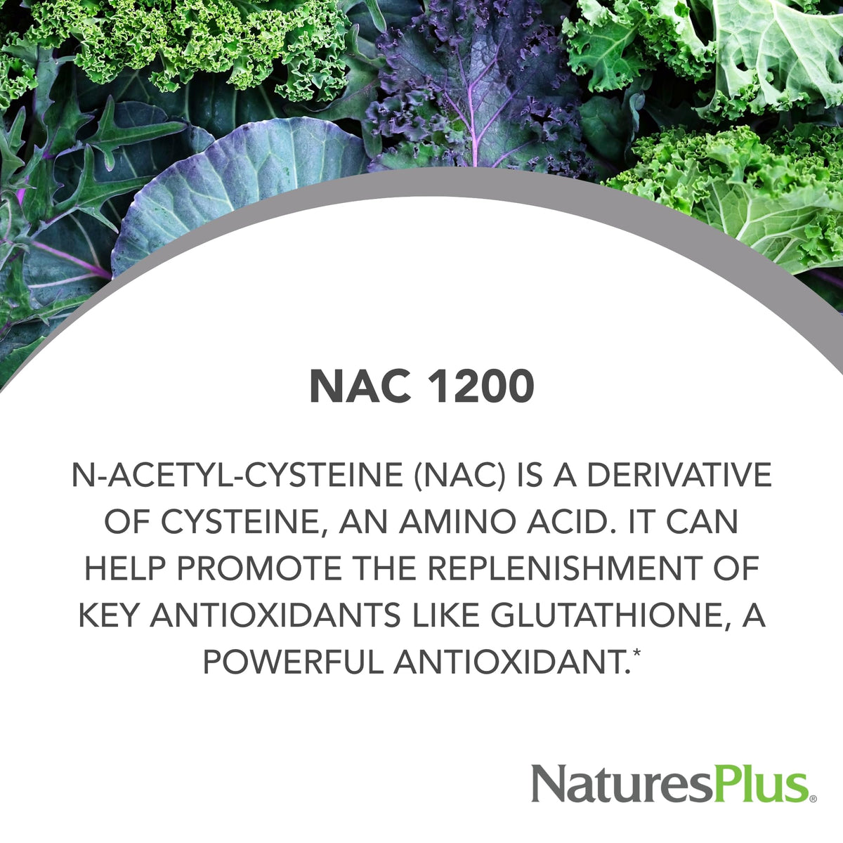 NaturesPlus PRO NAC 1200 ملجم - 60 قرصًا | تجديد الجلوتاثيون - 30 جرعة