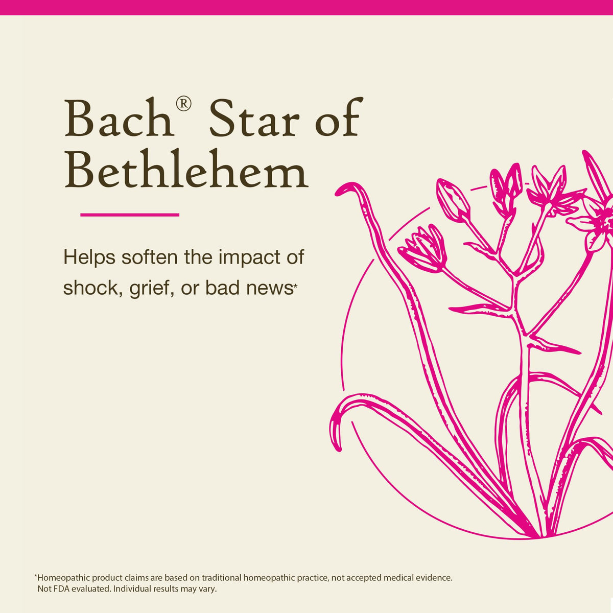 Nelson Bach Original Flower Remedies Star of Bethlehem – Neutralize Grief | 0.7 Fl Oz (20 ml) Pack of 1