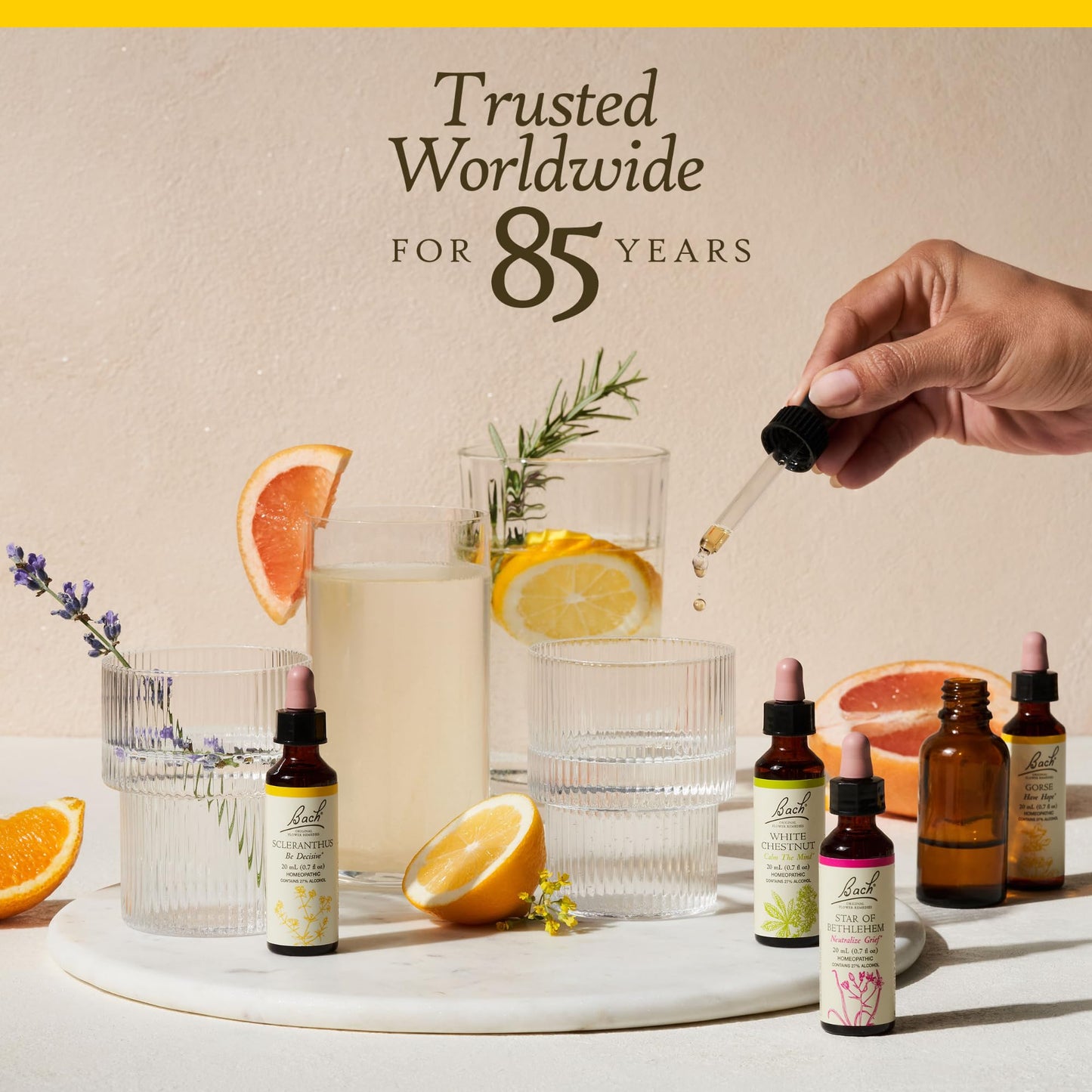 Bach Scleranthus Be Decisive – Original Flower Remedy – 20mL Dropper