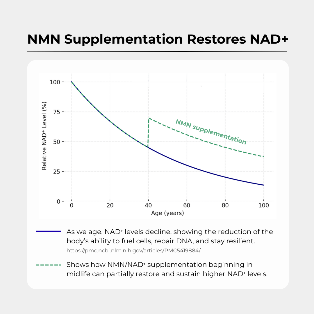 Daily NMN Longevity Supplement