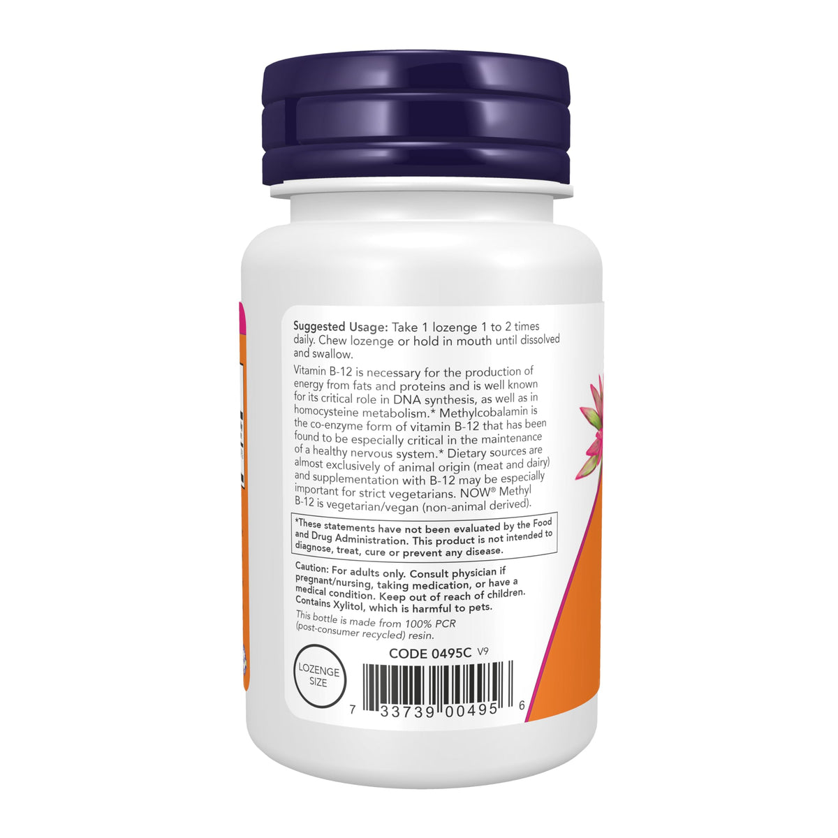 NOW Supplements Methyl B-12 (Methylcobalamin) 1,000 mcg Lozenges β Nervous System Health, Vegan