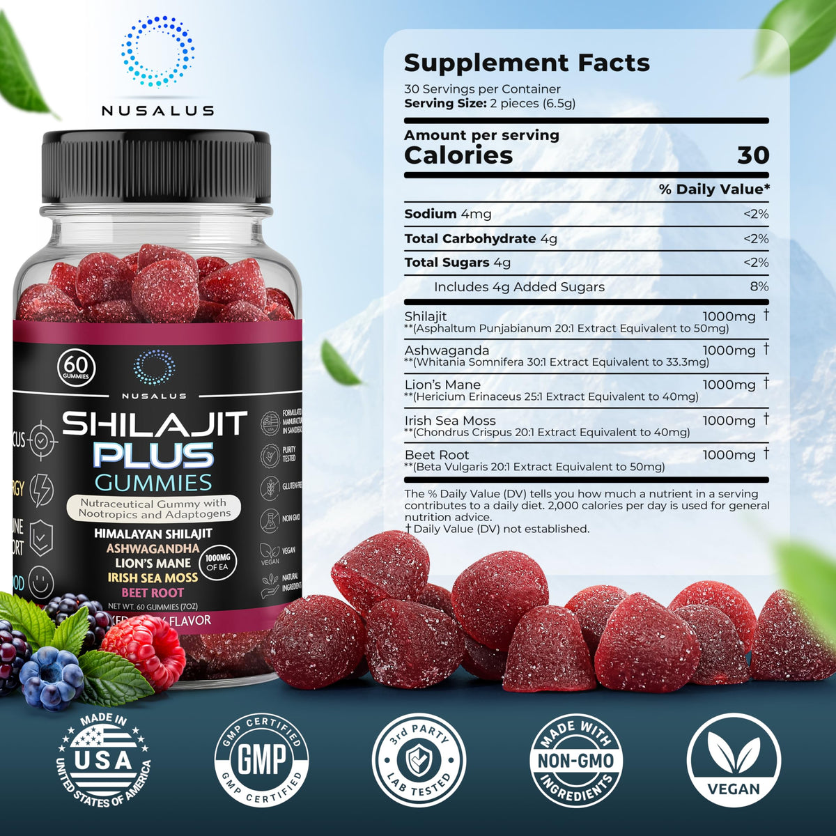 Nusalus Shilajit Plus Gummies β 5-in-1 Adaptogen Energy & Focus (Vegan, Made in USA)