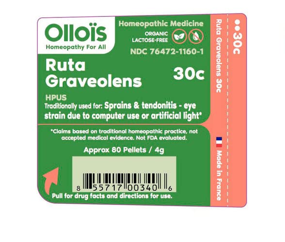 OLLOIS Ruta Graveolens 30c Organic β Lactose-Free, Kosher Homeopathic Medicine, 80 Pellets (Pack of 3)