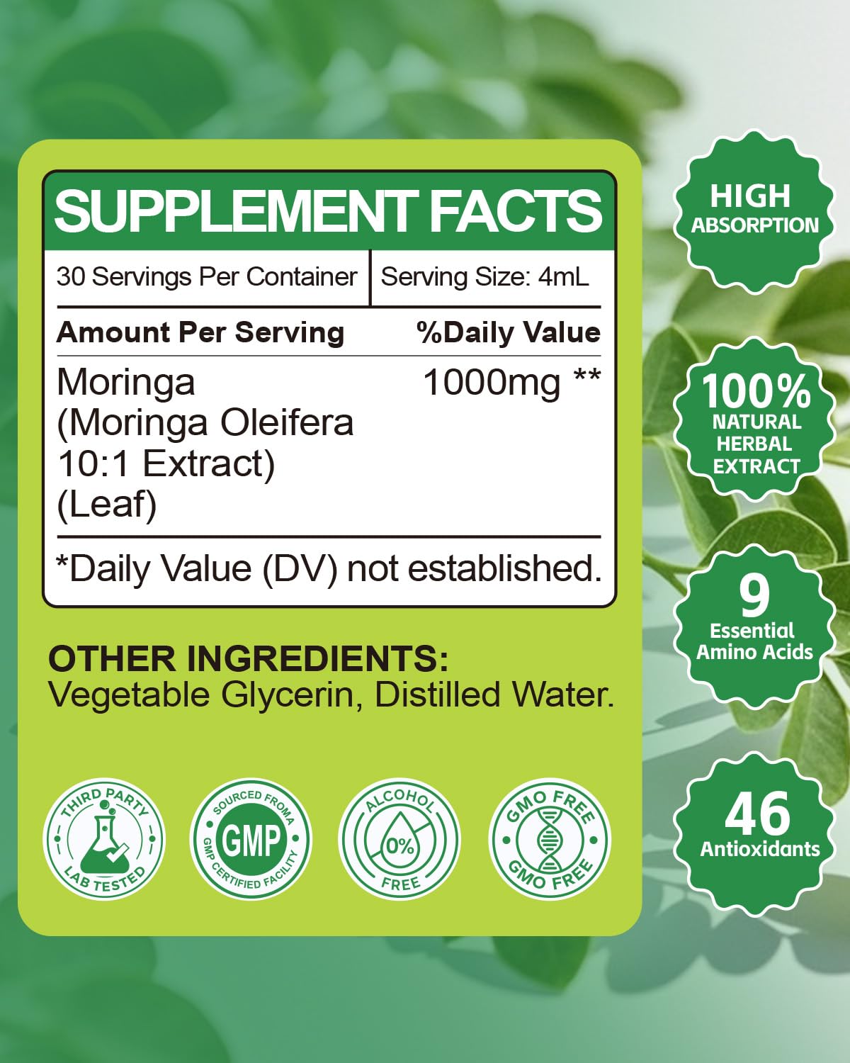 Organic Moringa Liquid Drops β High Absorption (2 fl oz) | Non-GMO, Gluten Free, Immune & Metabolism Support