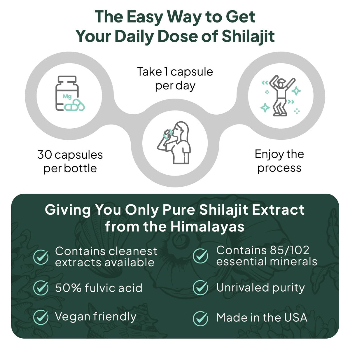 Organics Ocean One-Per-Day Shilajit Capsules – Premium Himalayan Shilajit (6 Bottles)