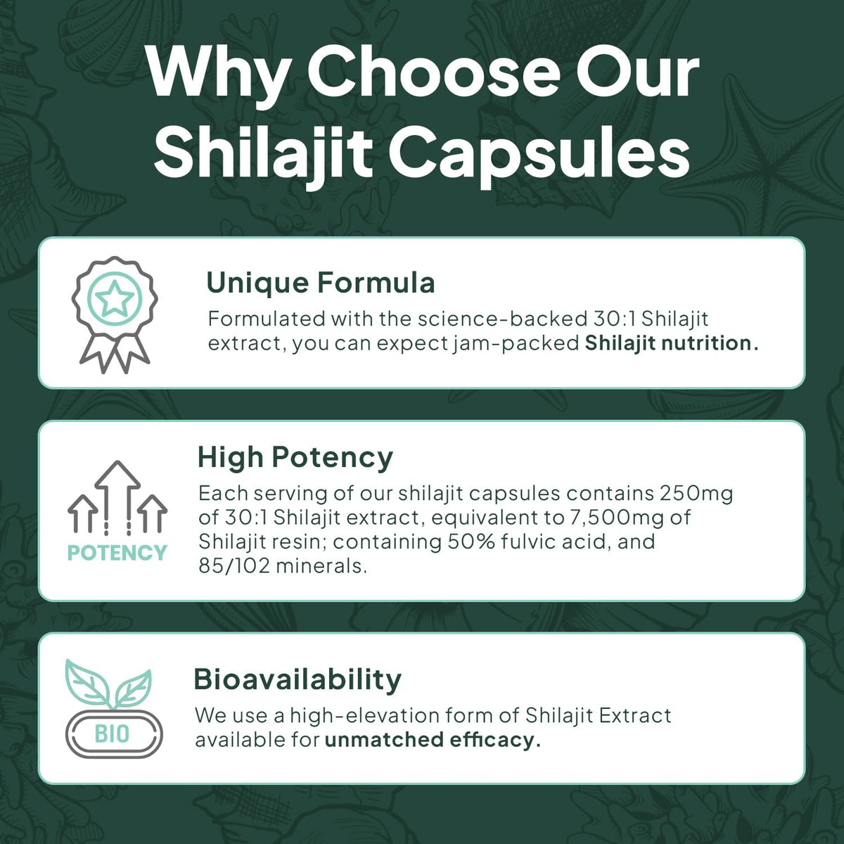 Organics Ocean One-Per-Day Shilajit Capsules – Premium Himalayan Shilajit (6 Bottles)