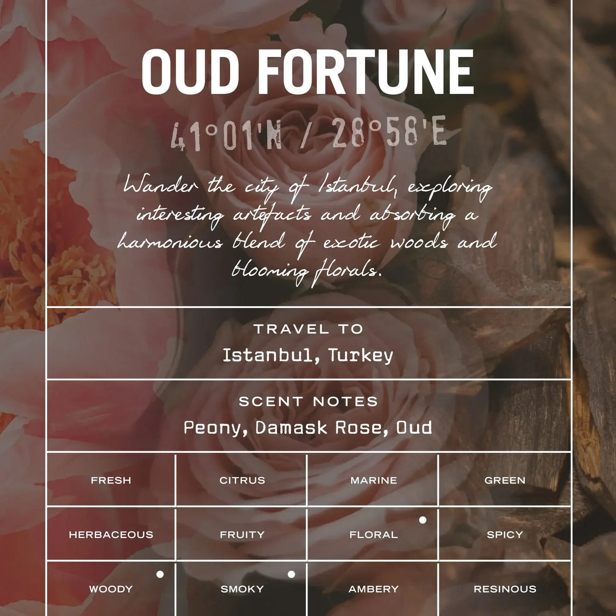 Oud Fortune Reed Diffuser - HealVia LimitedHealVia LimitedOud Fortune Reed Diffuser