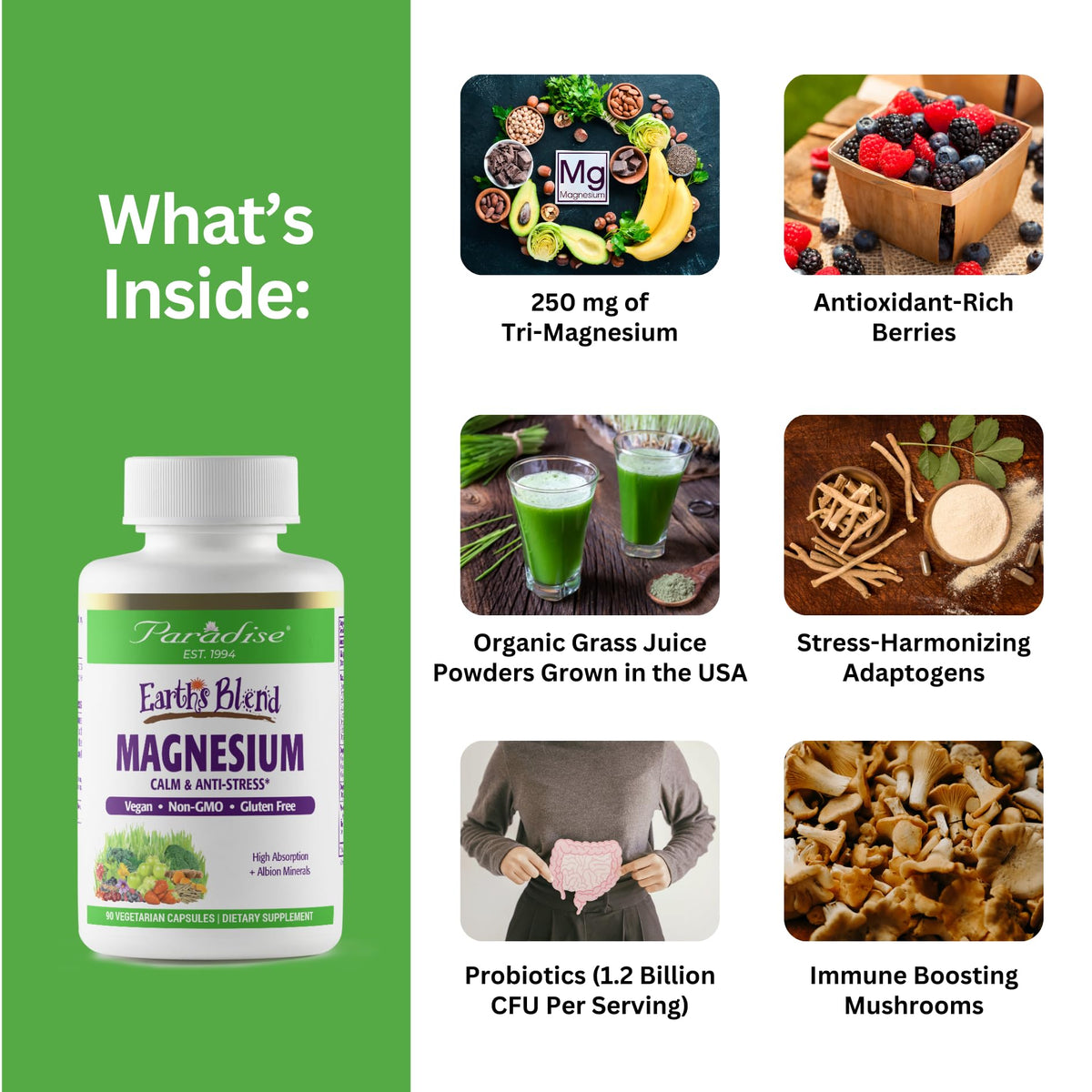 Paradise Herbs Earth's Blend Magnesium Supplement β Stress Relief, Sleep Support, Heart Health, Nerves & Muscles | Vegan, Non-GMO, Gluten Free, 90 Vegetarian Capsules