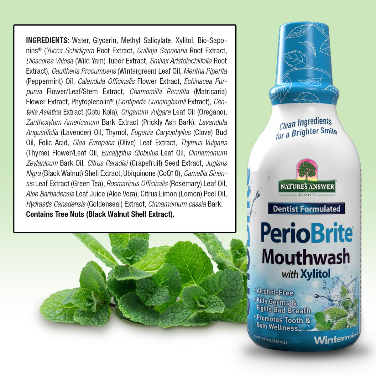Nature's Answer PerioBrite Winter Mint Mouthwash β Fluoride-Free, Alcohol-Free & Vegan (16oz)
