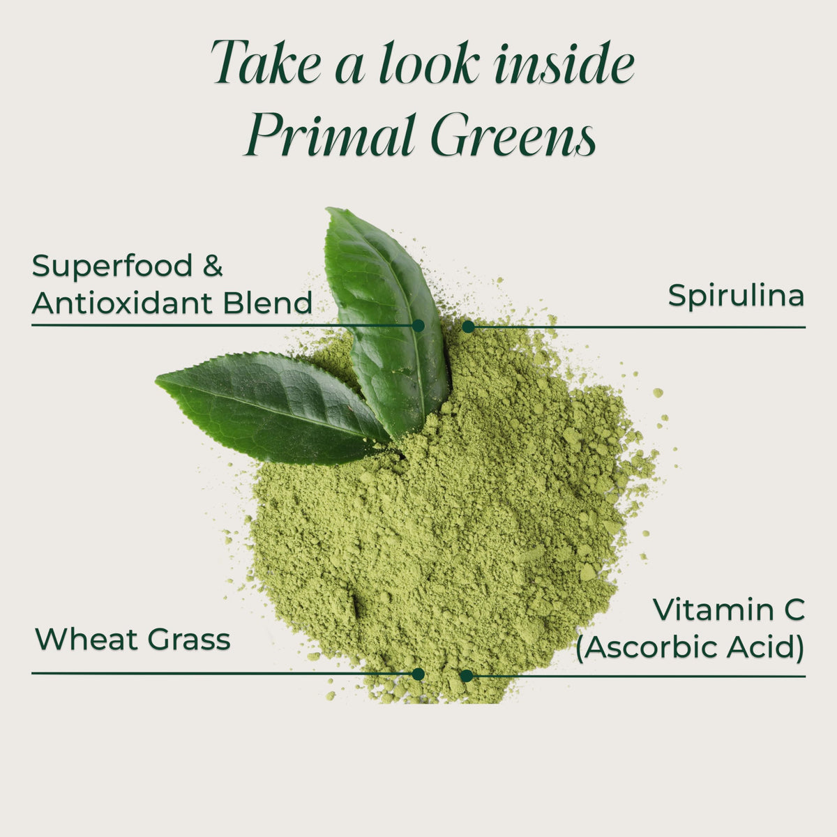 Primal Harvest Primal Greens Powder 2 Pack β 30 Servings Daily Supergreens with Spirulina, Mushroom Blend & Probiotics