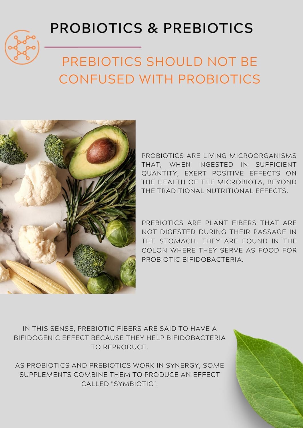 Probaclac Probiotics for 50+ β GI Health & Bloating Relief | 7 Strains