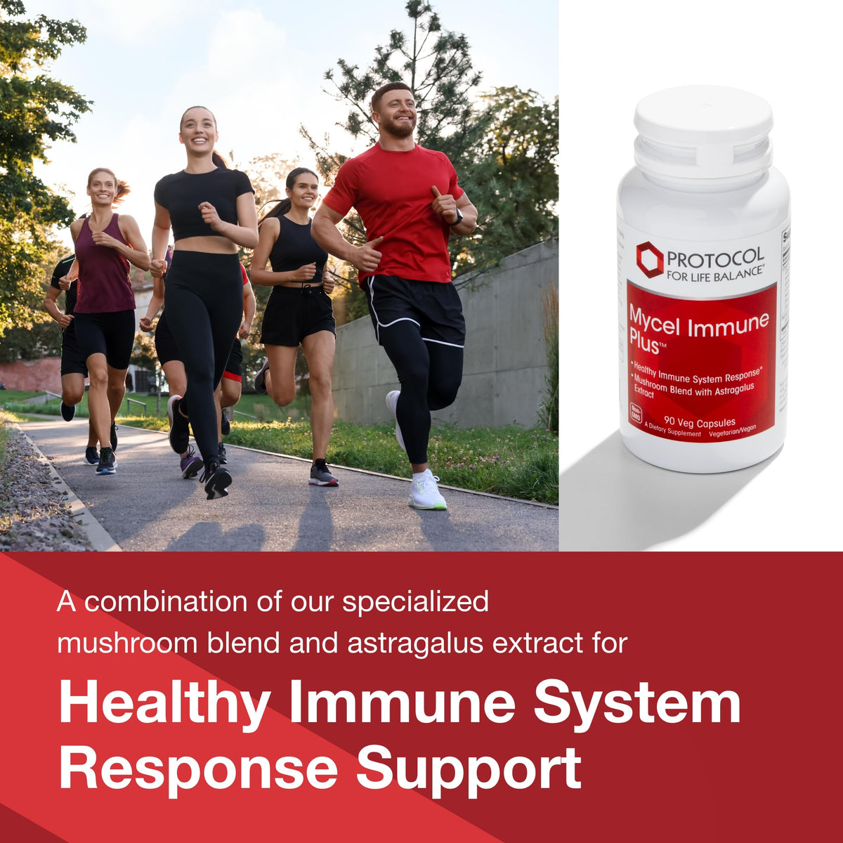 Protocol Mycel Immune Plus β Mushroom Blend with Astragalus
