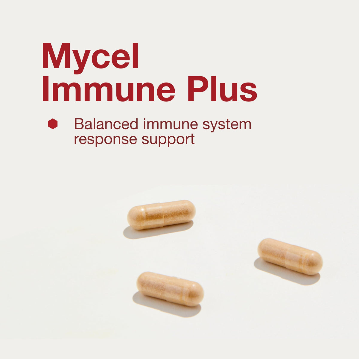 Protocol Mycel Immune Plus β Mushroom Blend with Astragalus