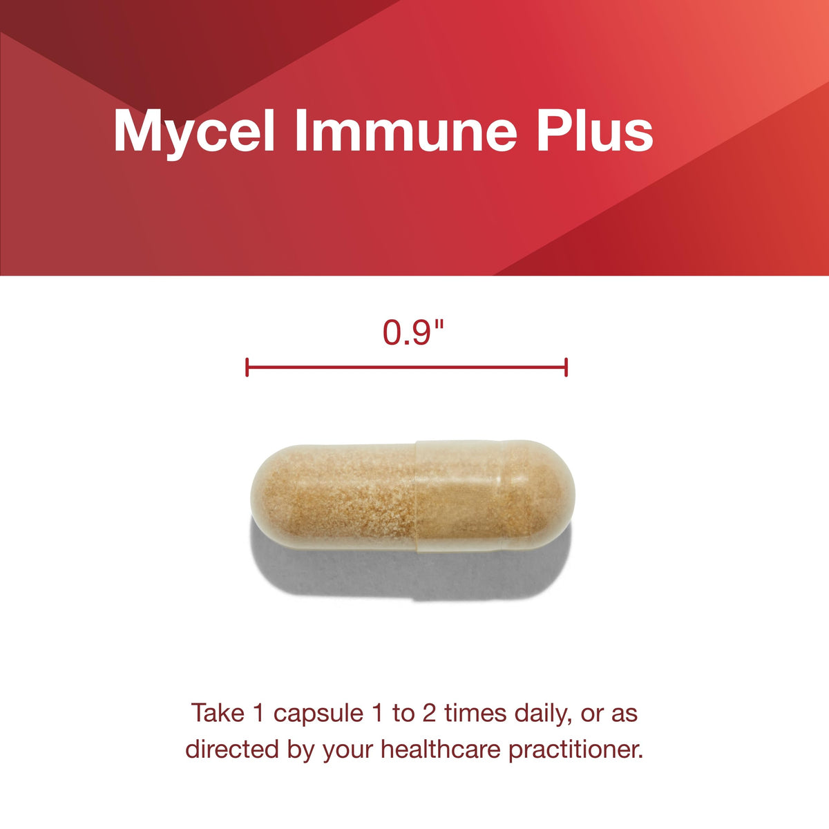 Protocol Mycel Immune Plus β Mushroom Blend with Astragalus