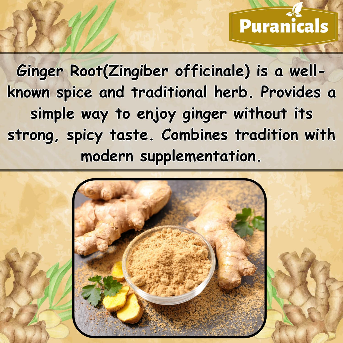 Puranicals Ginger Premium 320 Capsules β Non-GMO, Gluten Free, 700 mg per Serving, 100% Pure Ginger Root Powder