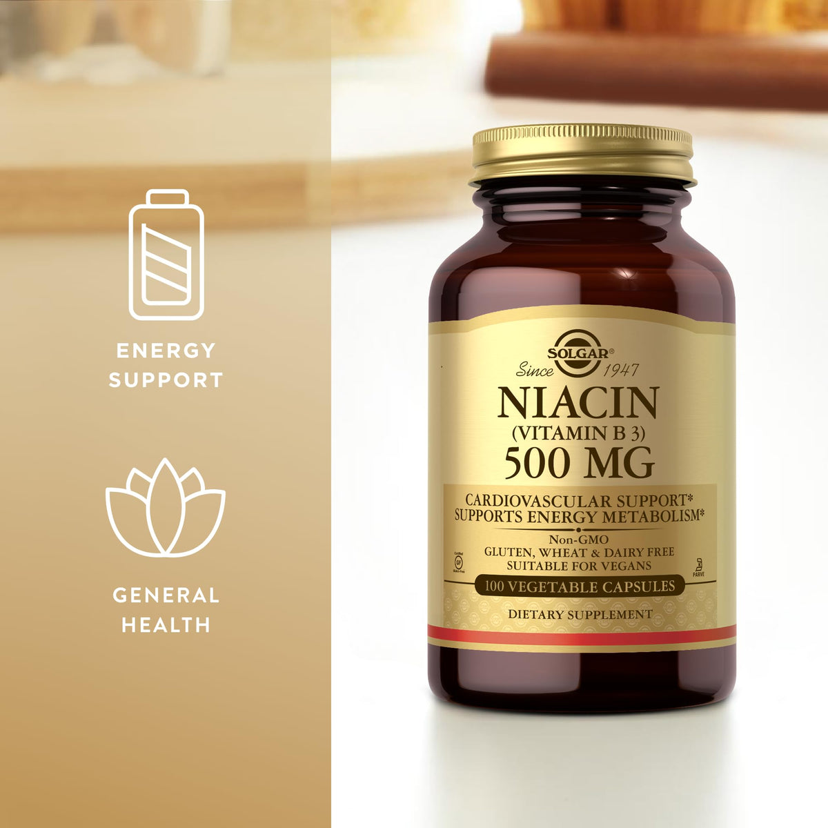 Solgar Niacin (Vitamin B3) 500 mg β 100 Vegetarian Capsules | Energy Metabolism
