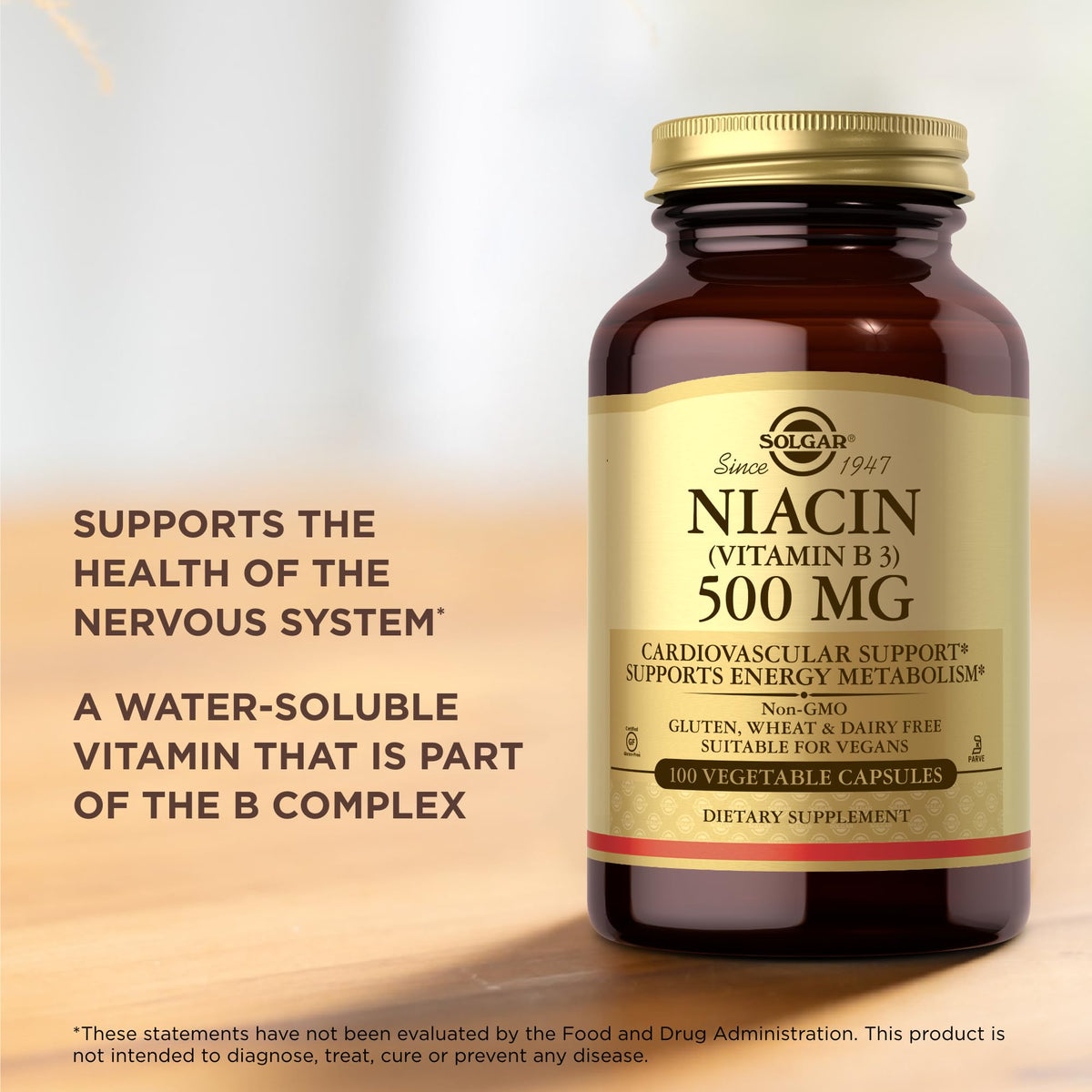 Solgar Niacin (Vitamin B3) 500 mg β 100 Vegetarian Capsules | Energy Metabolism