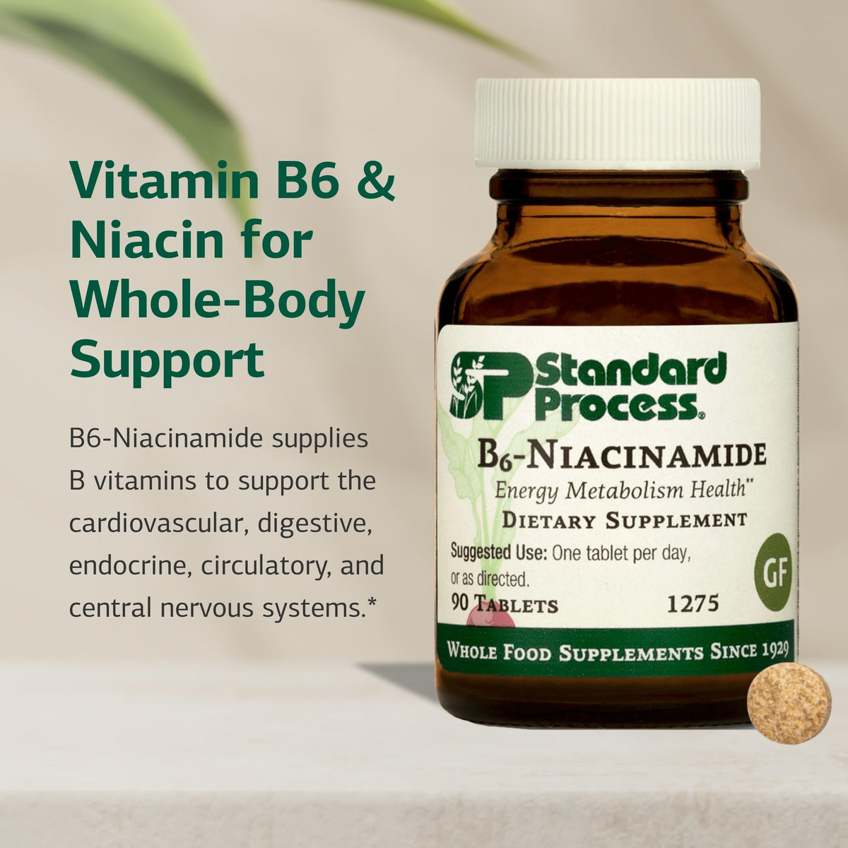 Standard Process B6-Niacinamide β Supports Energy Metabolism & Heart Health | Gluten-Free, Non-Dairy & Non-Soy β 90 Tablets