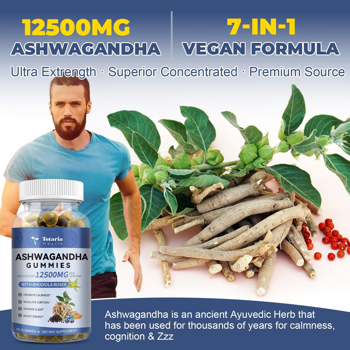 Totaria Sugar Free Ashwagandha Gummies 2500mg | Vitamin D3, Magnesium Glycinate, Rhodiola β Blueberry