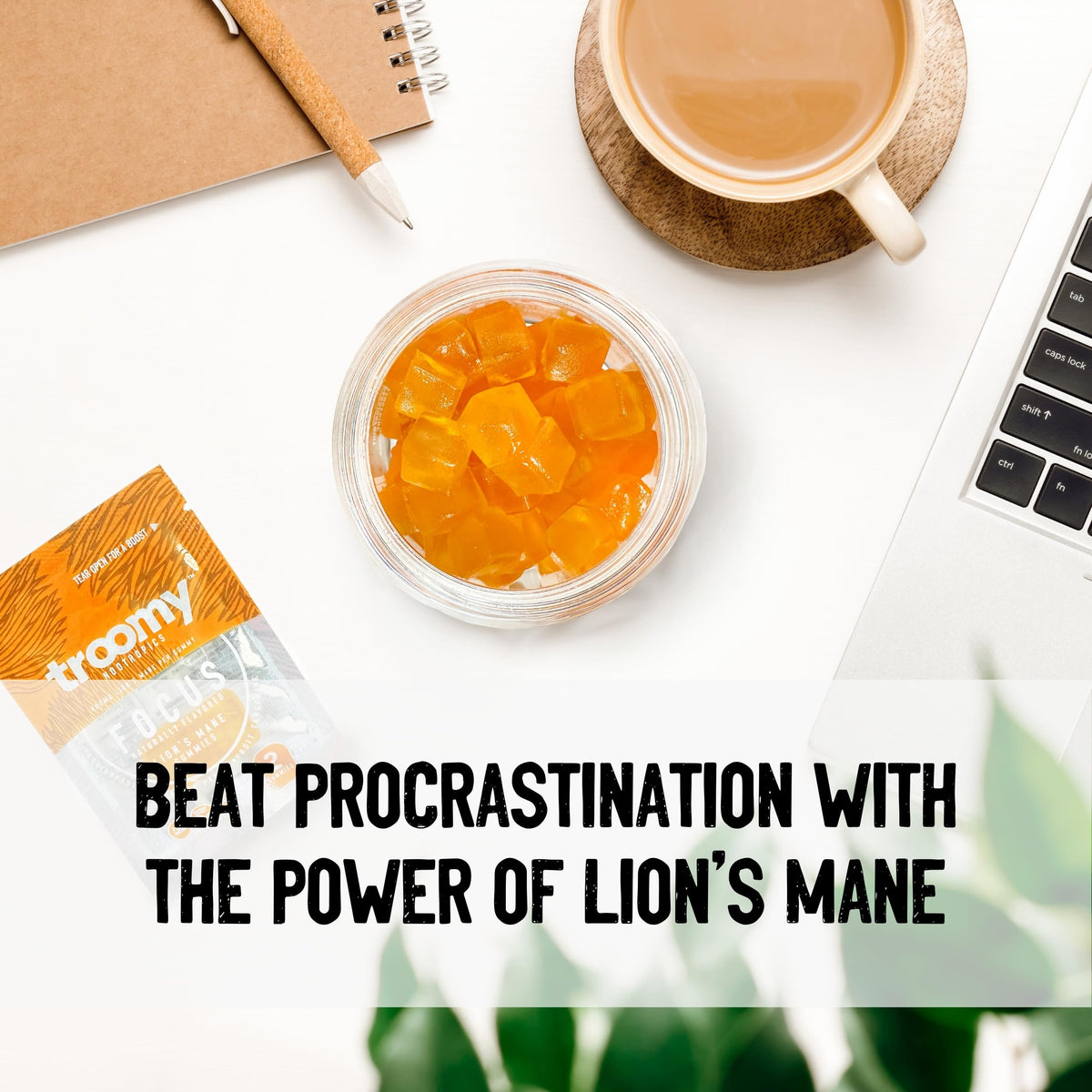 Troomy Lion's Mane Focus Gummies β 30 Count (Tangerine & Passionfruit)